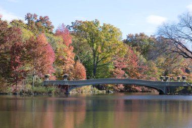 Central Park'ta yay köprü düşüş sırasında