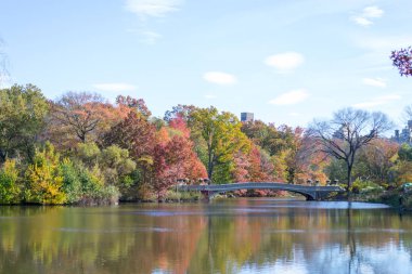Central Park'ta yay köprü düşüş sırasında