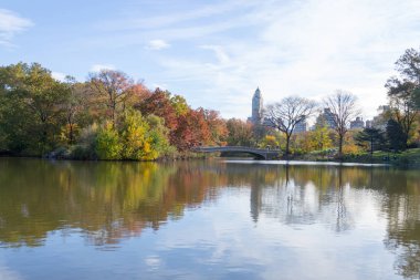 Central Park'ta yay köprü düşüş sırasında