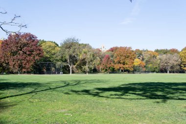 Düşüş sırasında Central Park kalbinde yer alan büyük çim