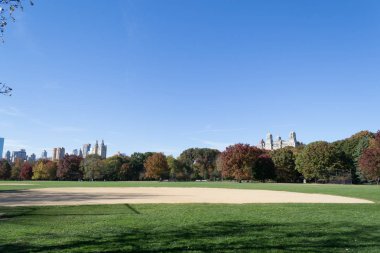Düşüş sırasında Central Park kalbinde yer alan büyük çim