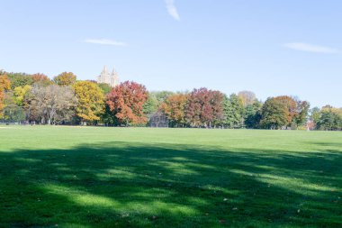 Düşüş sırasında Central Park kalbinde yer alan büyük çim