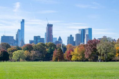 Düşüş sırasında Central Park kalbinde yer alan büyük çim