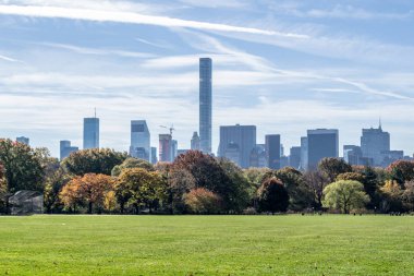 Düşüş sırasında Central Park kalbinde yer alan büyük çim