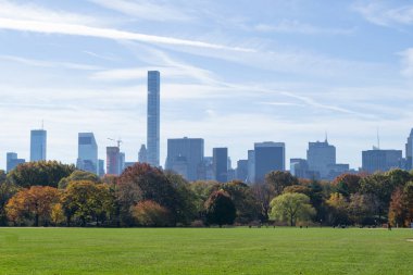 Düşüş sırasında Central Park kalbinde yer alan büyük çim