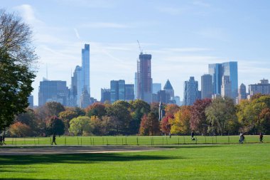 Düşüş sırasında Central Park kalbinde yer alan büyük çim