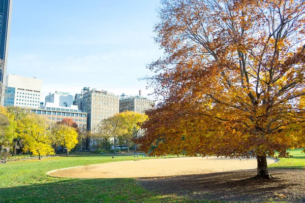 Rasen im Central Park an der oberen Ostseite in der 100. Straße — Stockfoto