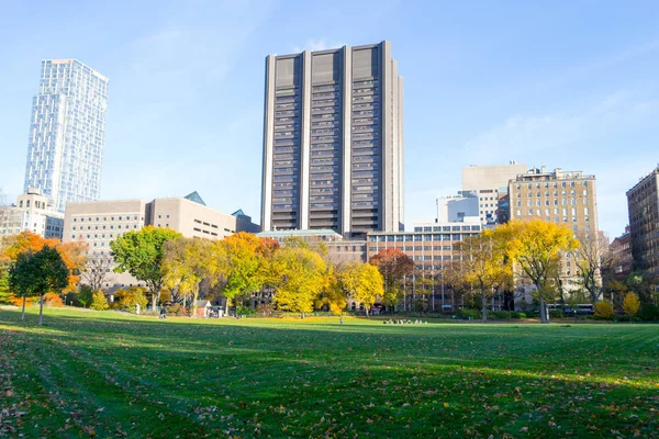 Yukarı Doğu Yakası 100 sokakta tarafından Central Park'ta çim 