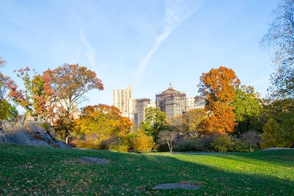 Neues Dyalisezentrum vom Central Park — Stockfoto