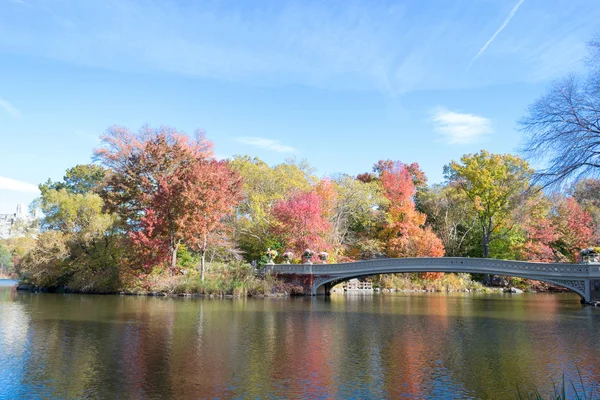 Central Park'ta yay köprü düşüş sırasında