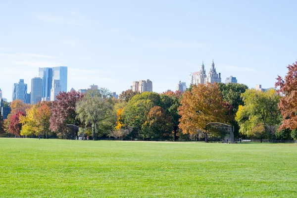 Große Rasenfläche im Herzen des Central Parks im Herbst — Stockfoto