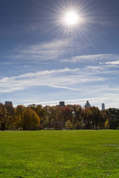 Große Rasenfläche im Herzen des Central Parks im Herbst — Stockfoto