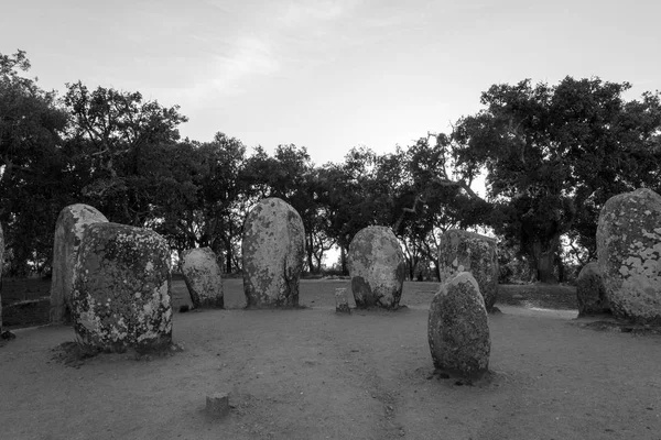 포르투갈에서 Evora 가까이 cromlech에 menhirs — 스톡 사진