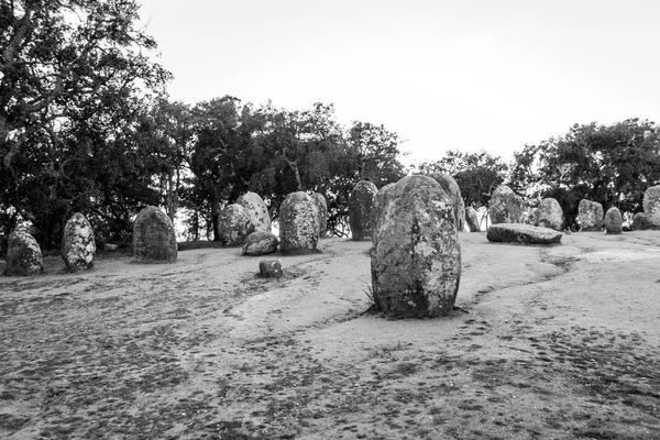 Menhirs in een Steencirkel Kortbij Evora in Portugal — Stockfoto