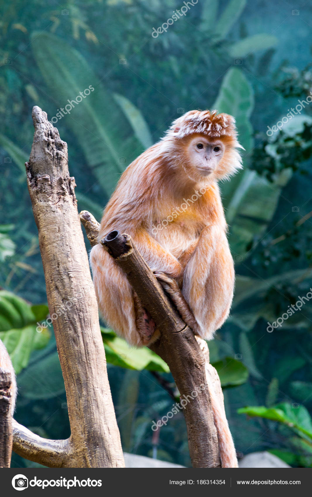 VKontakte klubi yashirin kamera Julia Roberts porno filmda