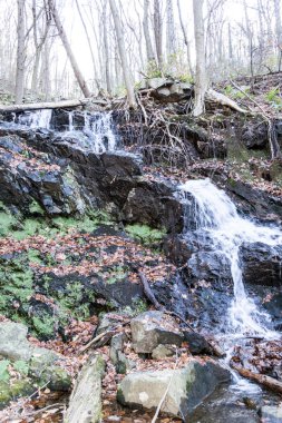 Bir kış sabahı Beacon Dağı'nda Şelale