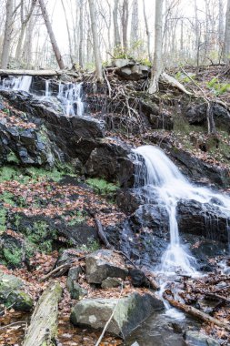 Bir kış sabahı Beacon Dağı'nda Şelale