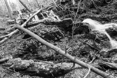 Bir kış sabahı Beacon Dağı'nda Şelale