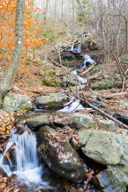 Bir kış sabahı Beacon Dağı'nda Şelale