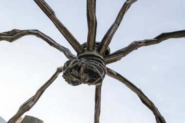 Bir örümcek heykeli Maman Bilbao'deki denilen