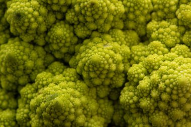 Detail of a Romanesco broccoli 