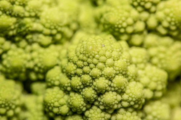 Detalhe de um brócolis Romanesco — Fotografia de Stock