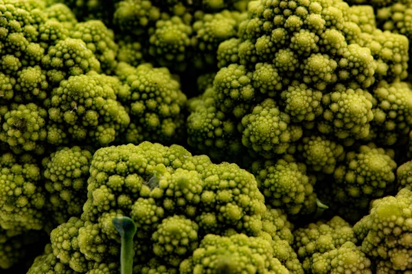 Detalhe de um brócolis Romanesco — Fotografia de Stock