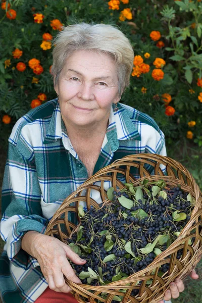 Abuela sentada con una cesta de ceniza y dulce mirando a la cámara con una leve sonrisa. Tiro medio al aire libre . Imagen De Stock