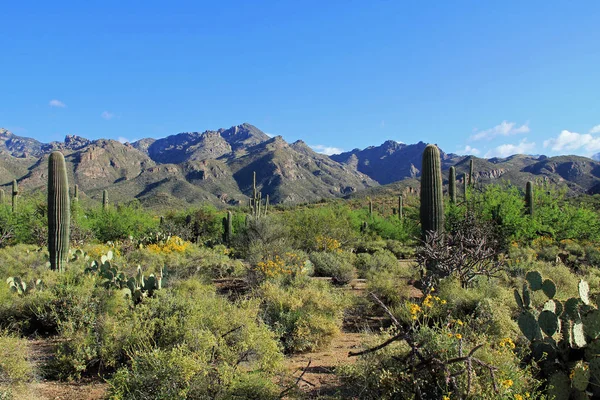 Mountain Range Beside Bear Canyon Arizona — Stock Photo, Image