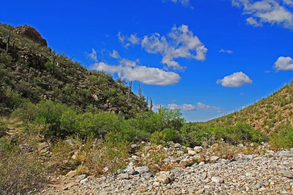 Bear Canyon in Tucson, AZ — Stock Photo, Image