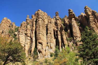 Organ boru oluşumu Chiricahua Ulusal Anıtı, Arizona 