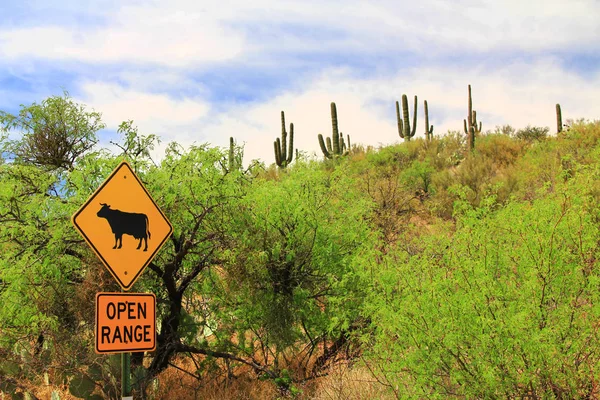 Open Range Cattle Warning in Arizona — Stock Photo, Image