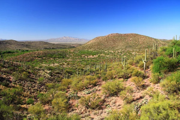 Colossal Cave Mountain Park View — Stock Photo, Image