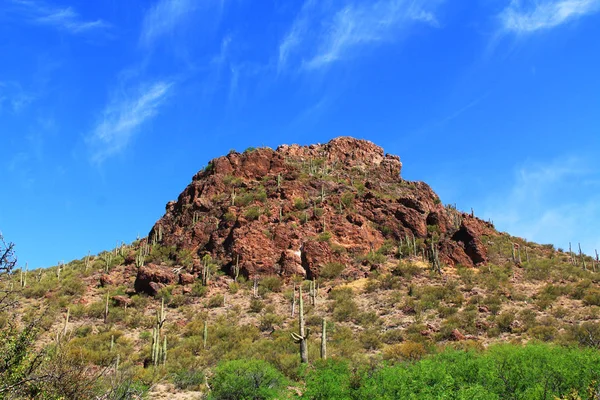 Mountain Near La Selvilla Area in Colossal Cave Mountain Park — Stock Photo, Image