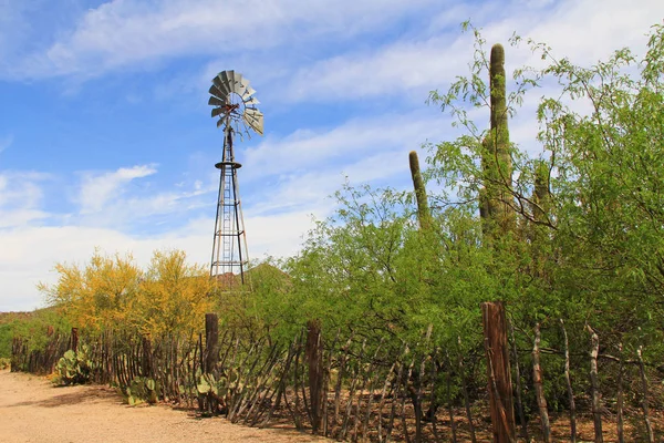 Windmill and Butterfly Garden on La Posta Quemada Ranch in Colossal Cave Mountain Park — Stock Photo, Image