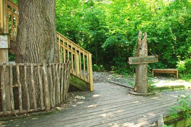 İşareti ve Toms Treehouse düşünür ormandaki için adımlar