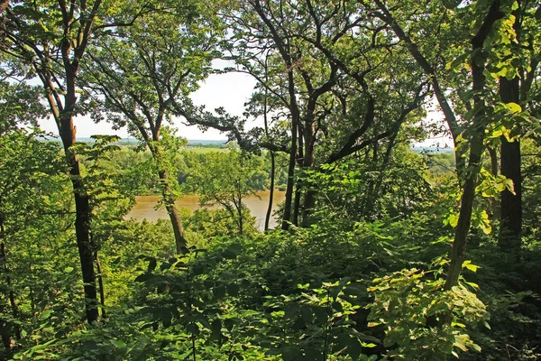 Rivière Missouri vue d'un sentier forestier de Fontenelle — Photo