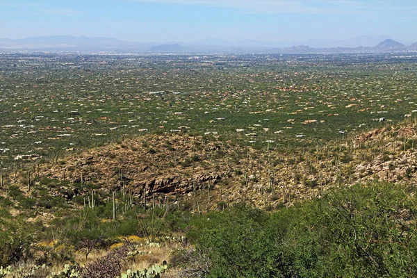 Άποψη του Tucson από Mount Λέμον — Φωτογραφία Αρχείου