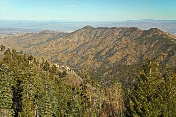 Panoramik Mt. Lemmon Kayak Valley — Stok fotoğraf