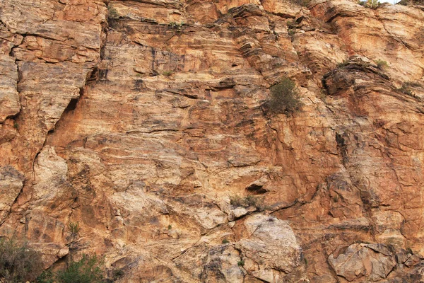 Rock textury zdi na hoře Lemmon — Stock fotografie