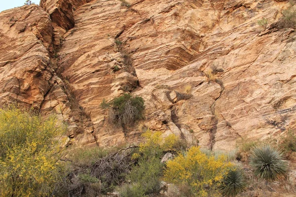 レモン山で岩の壁テクスチャ — ストック写真