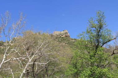 Beyaz kaya oluşumu Sedona Arizona