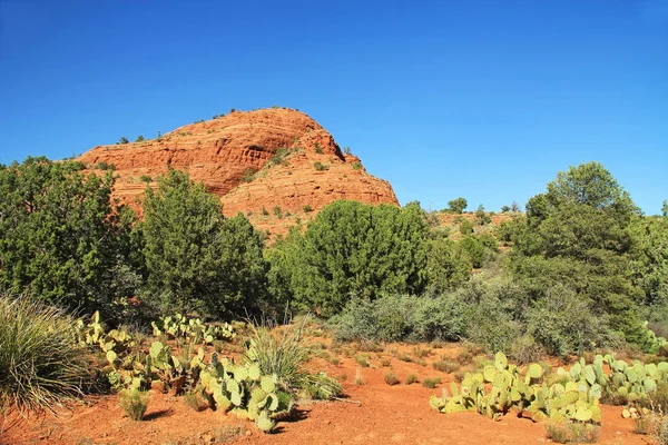 Hiking Trail and Red Rock Formation in Sedona Arizona — Stock Photo, Image