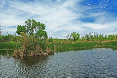 Las Lagunas de Anza sulak Nogales, Arizona mavi bulutlu gökyüzü kopya alanı ile ve kıyı Dock yakınındaki gölde kuyrugu görünümünü kaplı.