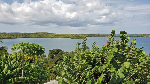 Θέα Mercer Creek Bay Από Seatons Αντίγκουα Μπαρμπούντα Μικρές Αντίλλες — Φωτογραφία Αρχείου