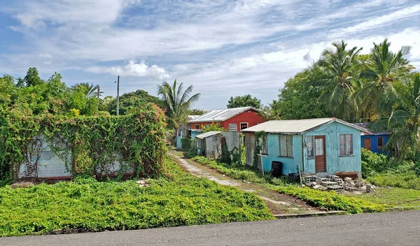 Three Colorful Typical Homes Antigua Barbuda Lesser Antilles West Indies — Stock Photo, Image