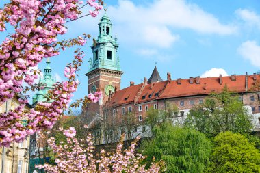 Royal castle Wawel Krakow