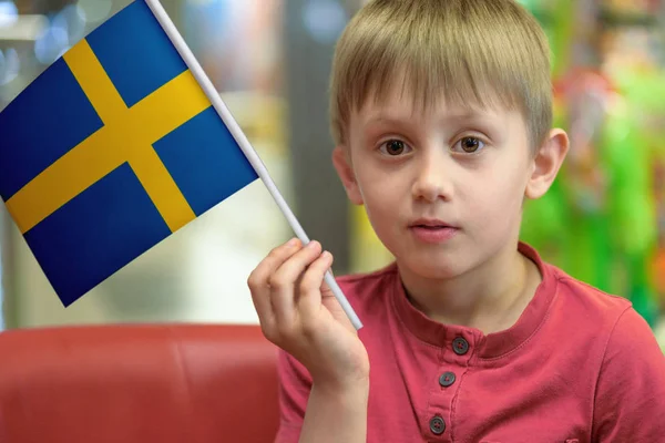 Chłopiec z flaga Szwecji — Zdjęcie stockowe