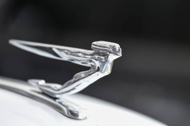 Bayan kukuleta süs uçan Cadillac