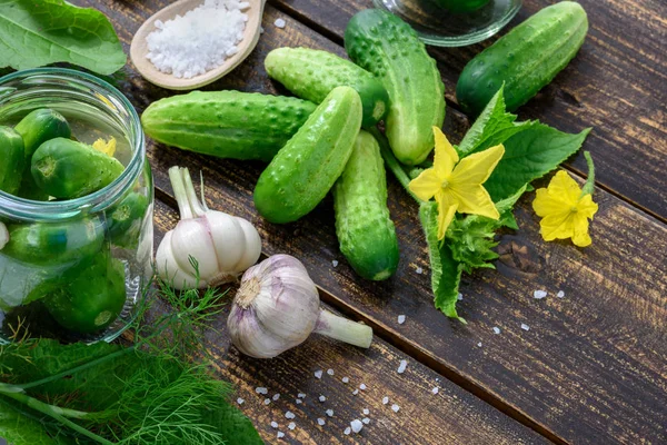 Zelfgemaakte augurken komkommers — Stockfoto